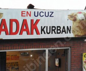 En Yakın Akika Adak